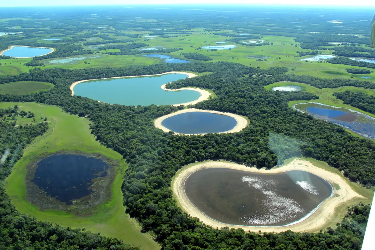 Aerial,Views,Of,Natural,Areas,In,Brazil,Pantanal