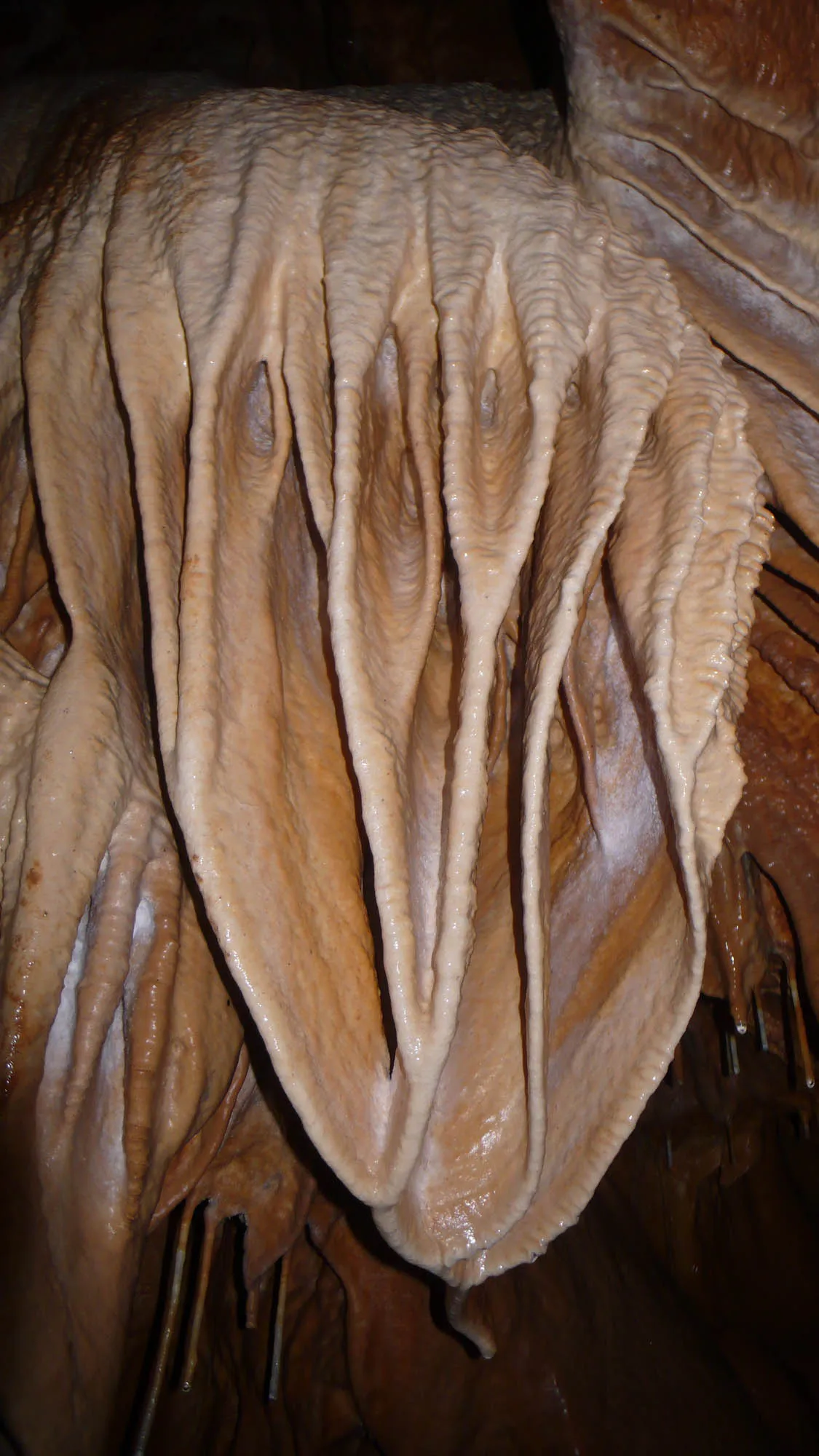 cseppkőmedúza a pilisszentléleki Leány-barlangban.