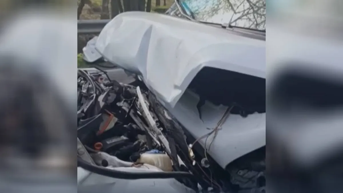 Apátvarasd közelében történt a végzetes karambol 