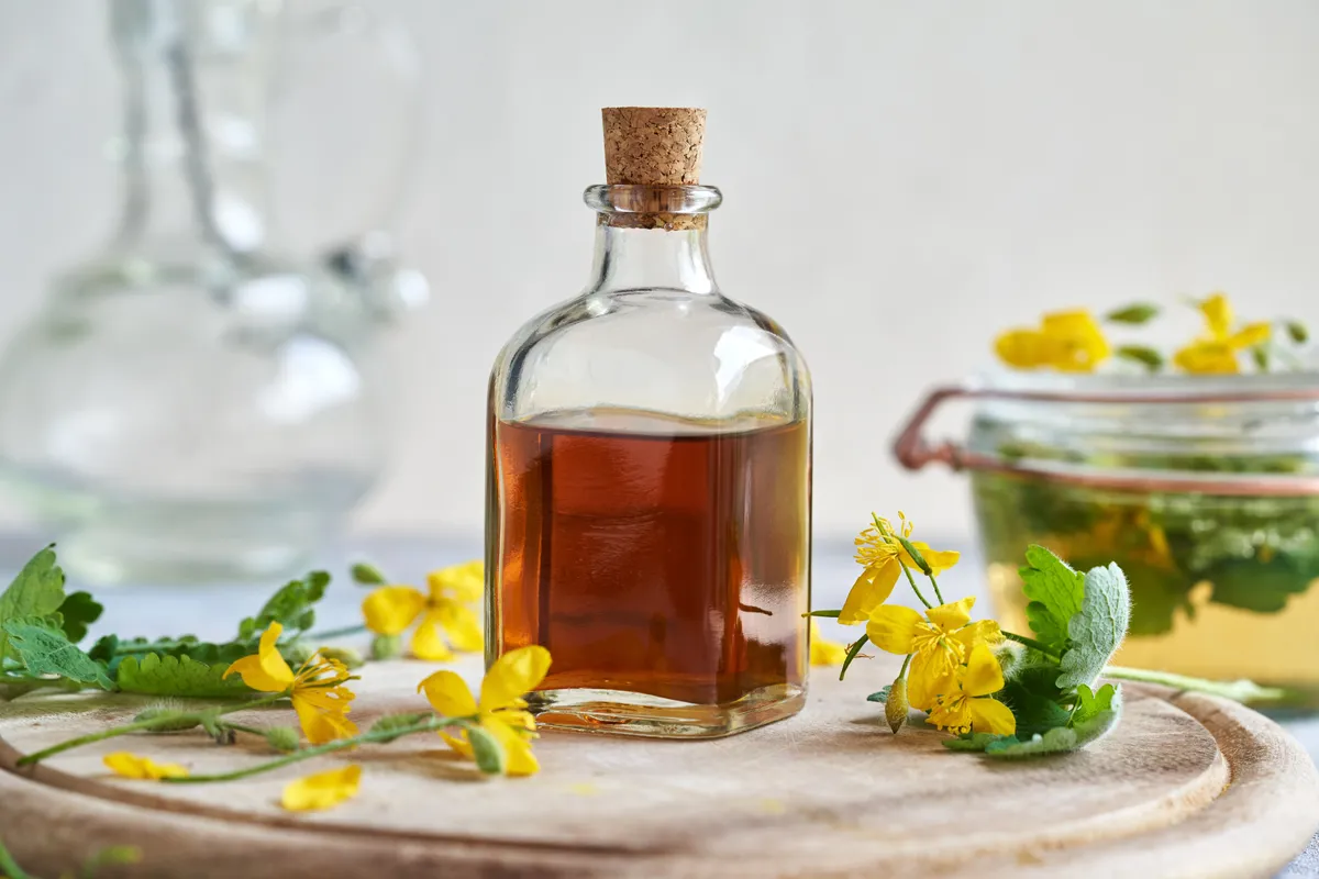 Friss vérehulló fecskefű szárak és virágok egy tálcán, közöttük üvegcsében tinktúra