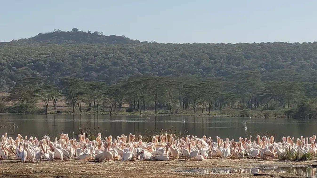 Sosem látott arcát mutatja meg Kenya Ritának – Íme, a bakancslistás ország kulisszatitkai