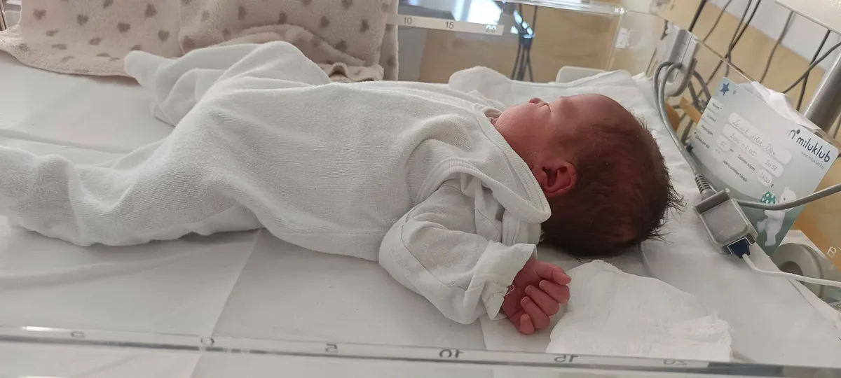 Zolika kistestvére, Nolen