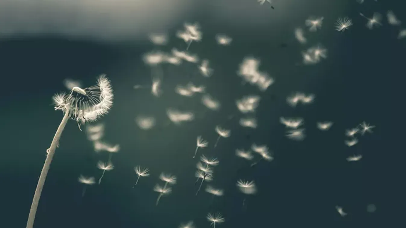 Hidegfront csap le: fordulatot hoz az időjárás hét elején