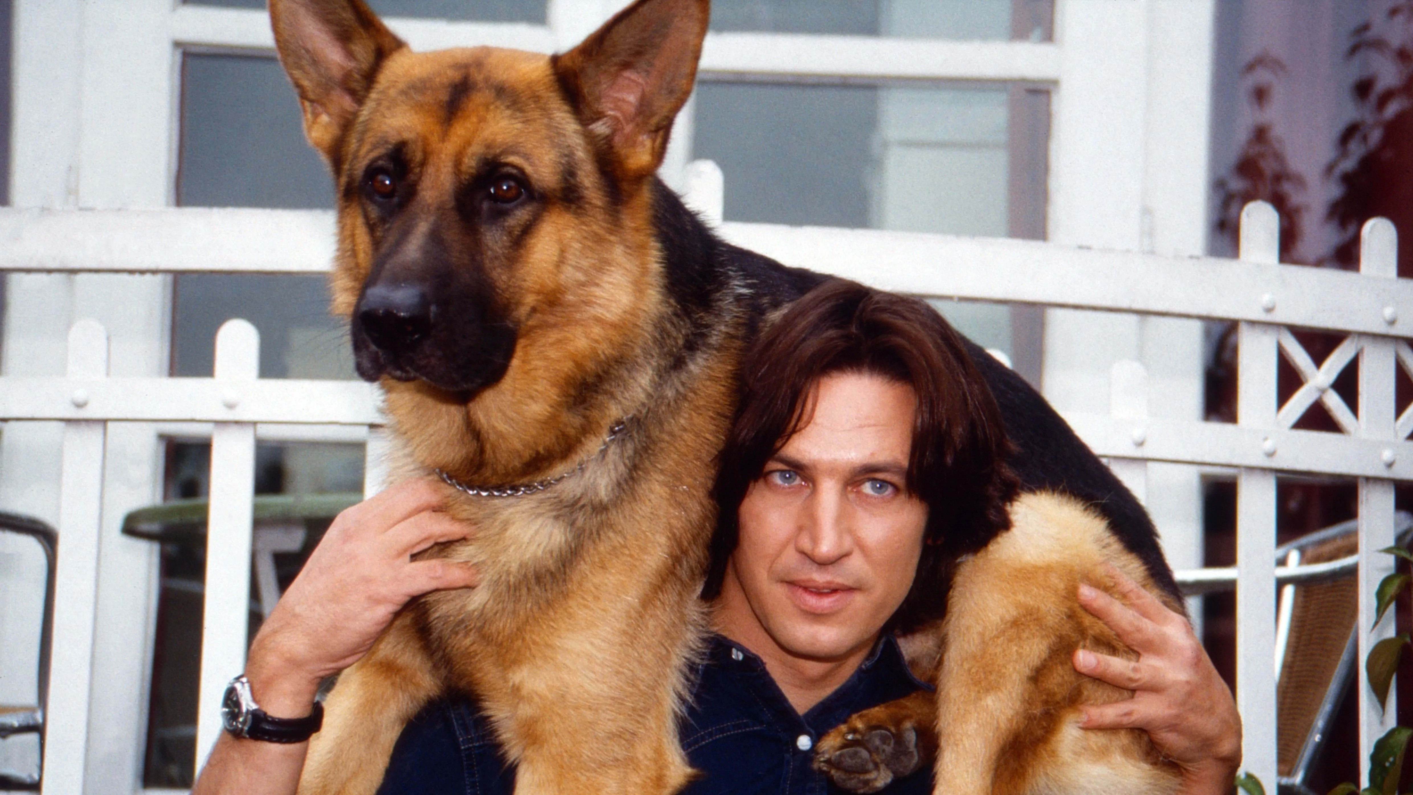 Kvíz kérdést ábrázoló kép