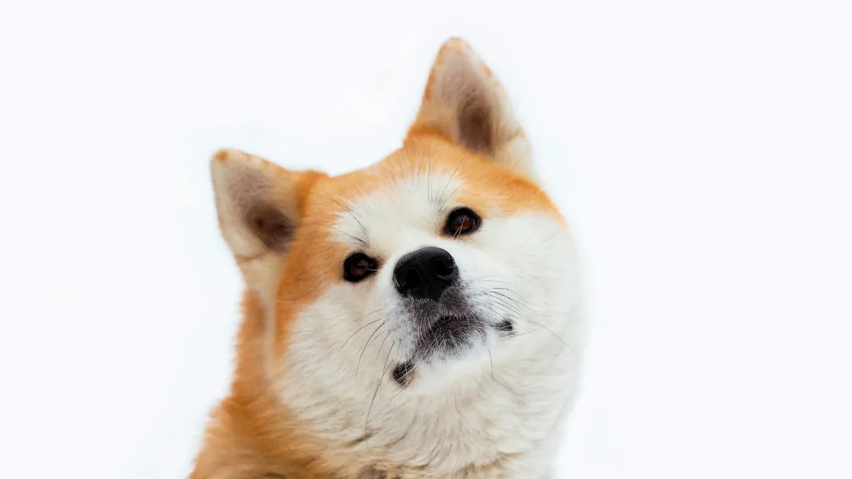 „Nélküle semmi vagyok” – A népszerű színésznő zokogva vallott arról, mi mentette meg