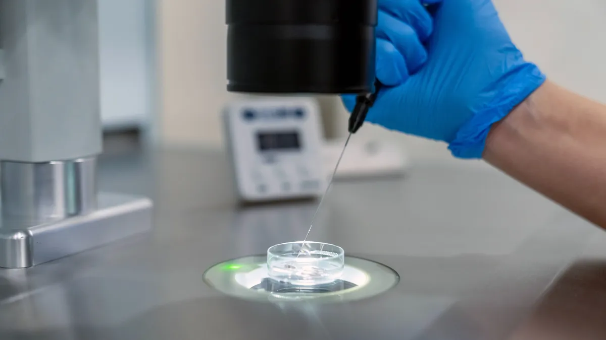 Termékenységi vizsgálat egy petricsészében.