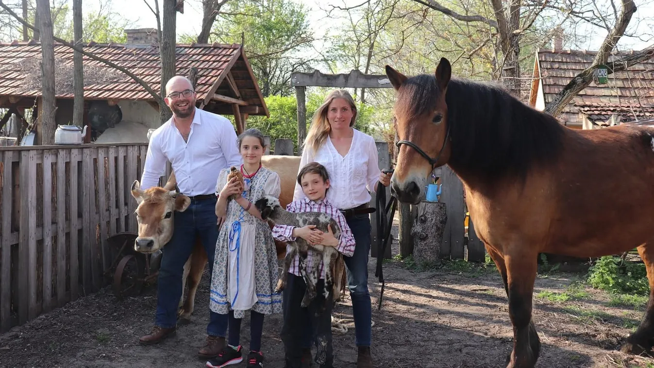 A Sipos-család A mi történetünk című sorozatból
