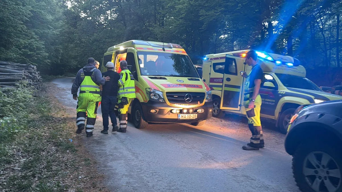 A bajbajutott személyt végül sikerrel kimentették az erdős területről, majd kórházba szállították