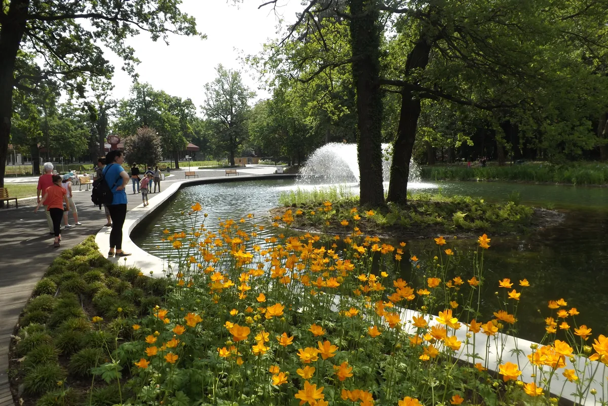 A Nagyerdő megújult Békás-tava virágokkal és látogatókkal. 