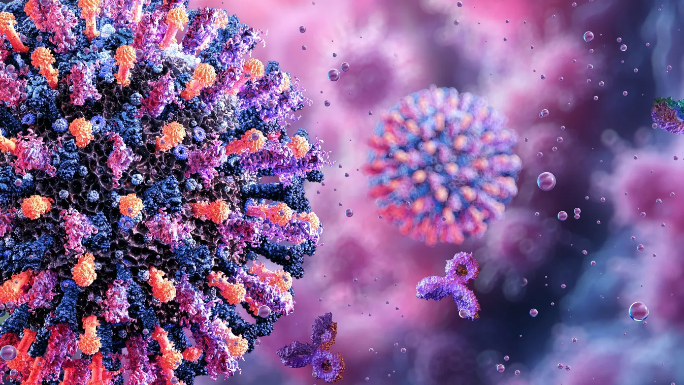 „Húsevő betegség miatt kilenc évig kerekesszékbe kerültem, és nem láthattam a kisbabámat”