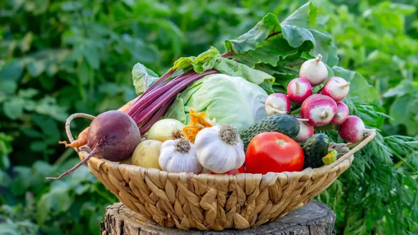 5 tavaszi zöldség, amely természetesen feltölti a vitaminraktáraid