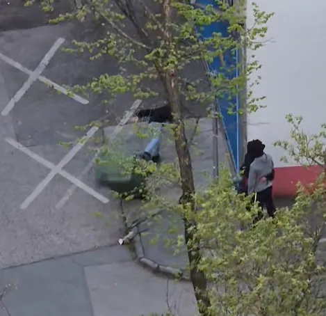 albertfalvai rongálók