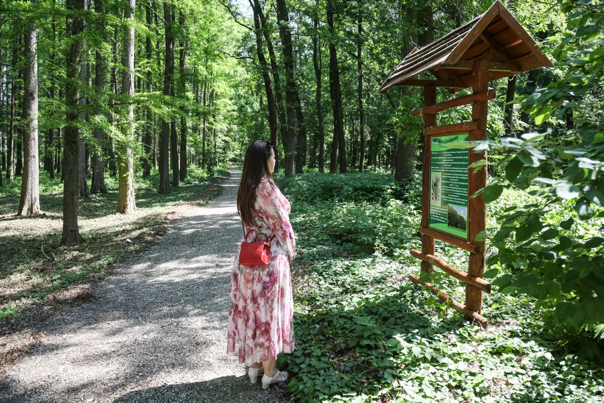 Tisza-tó környékén a Tiszaigar arborétum