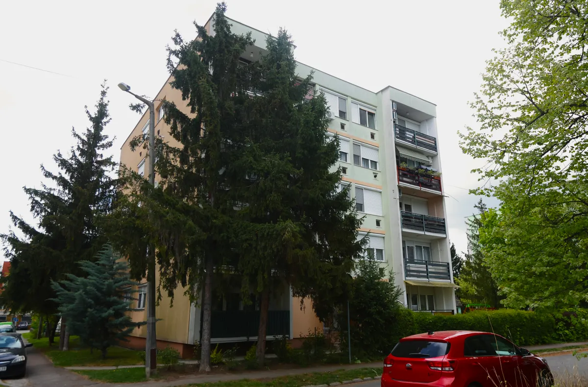 feleséggyilkos, Eger, ház