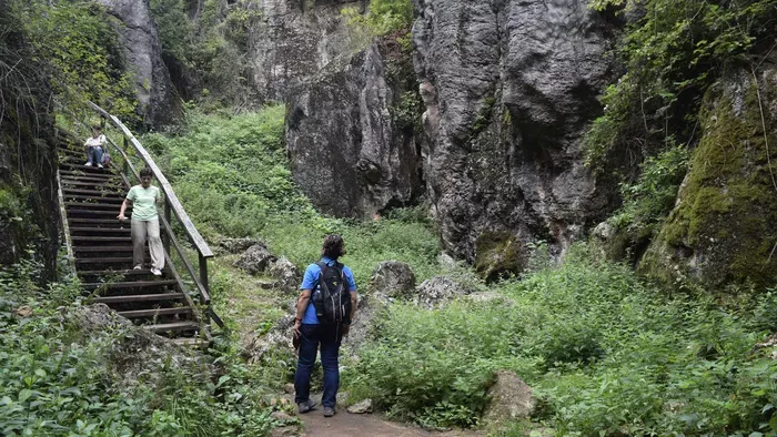 Tanösvények a Bakonyban: 5 csodaszép tavaszi kirándulás