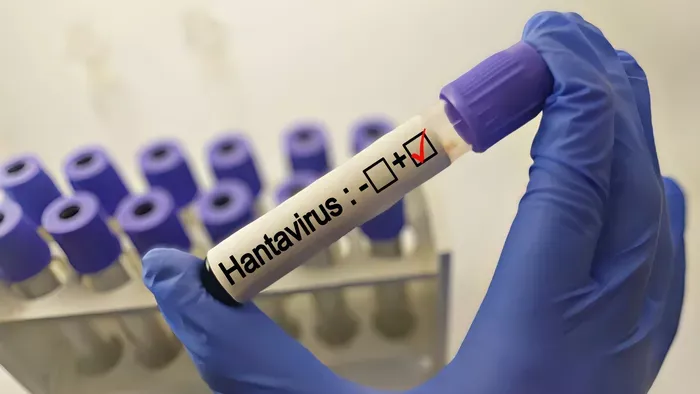 A hantavírus a COVID-vakcina mellékhatása? Szakértő válaszol