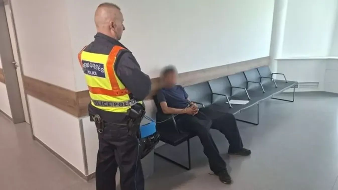 Nem válogatott a csörögi tolvaj: A rollertől az autóig mindent vitt a 18 éves fiatal