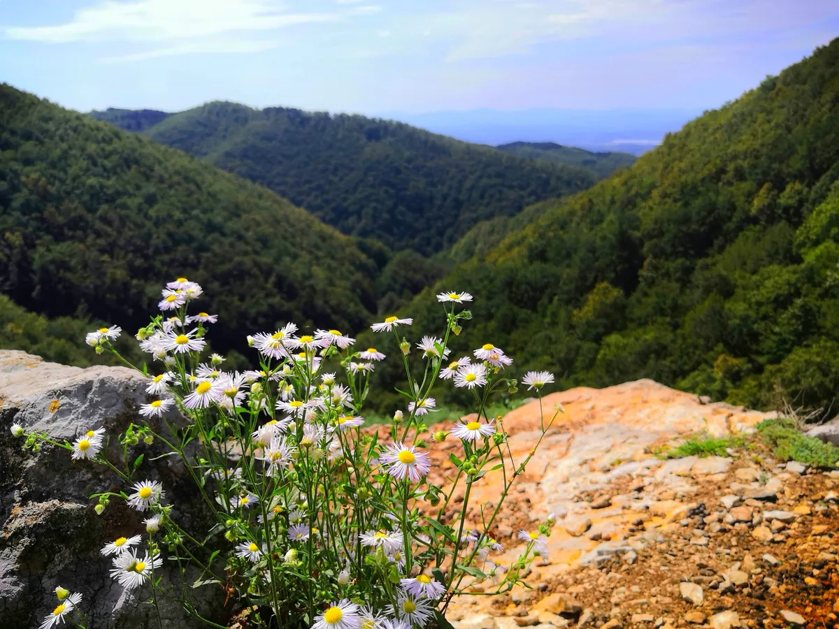 A bosznia-hercegovinai Kozara Nemzeti Park látképe.