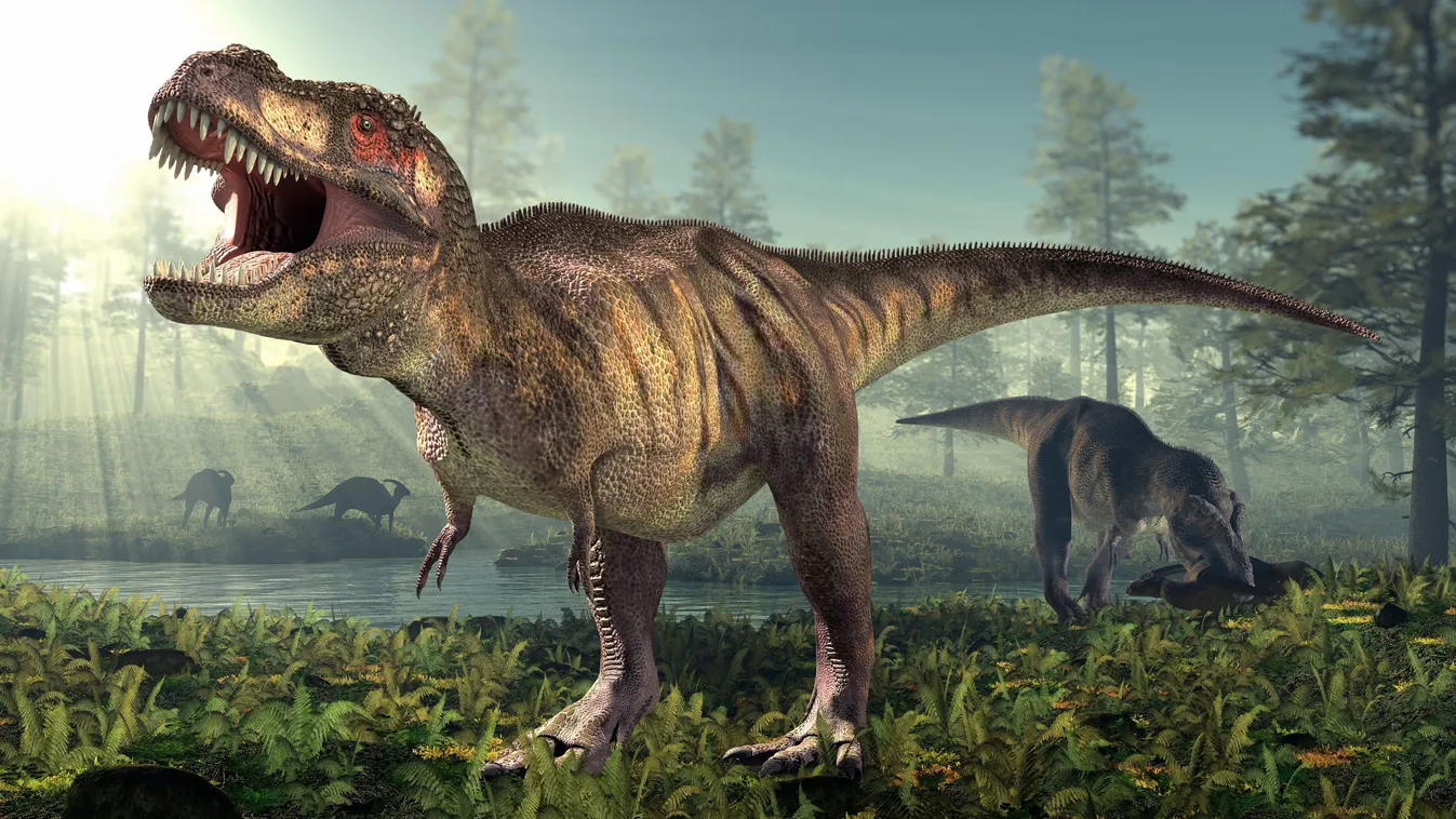 T-Rex illusztrációja