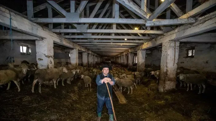 Gáspár Zsolti napokon át pánikban volt: „Béci elszökött…”