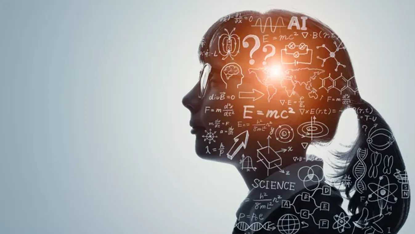 Csak a leginteligensebbek képesek hibátlanul kitölteni ezt a feketeöves IQ-tesztet