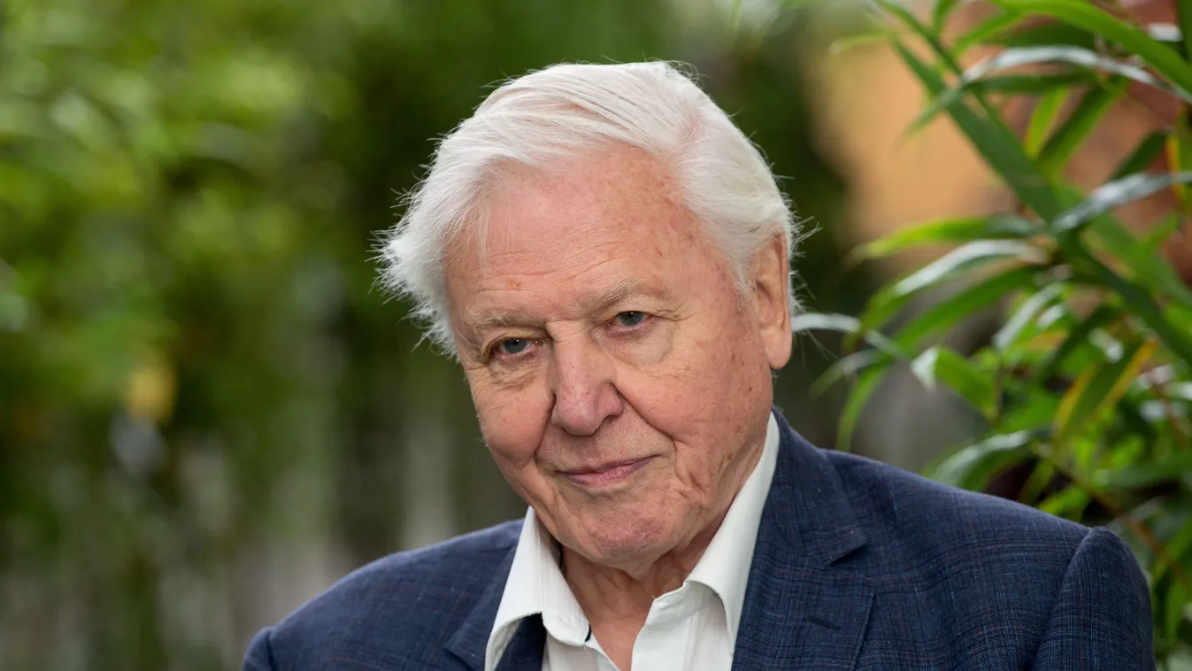 A 100 esztendős Sir David Attenborough-t köszöntjük. 