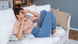 Szúnyogcsípés vagy halálos ítélet? Így támad a világ egyik legveszélyesebb betegsége