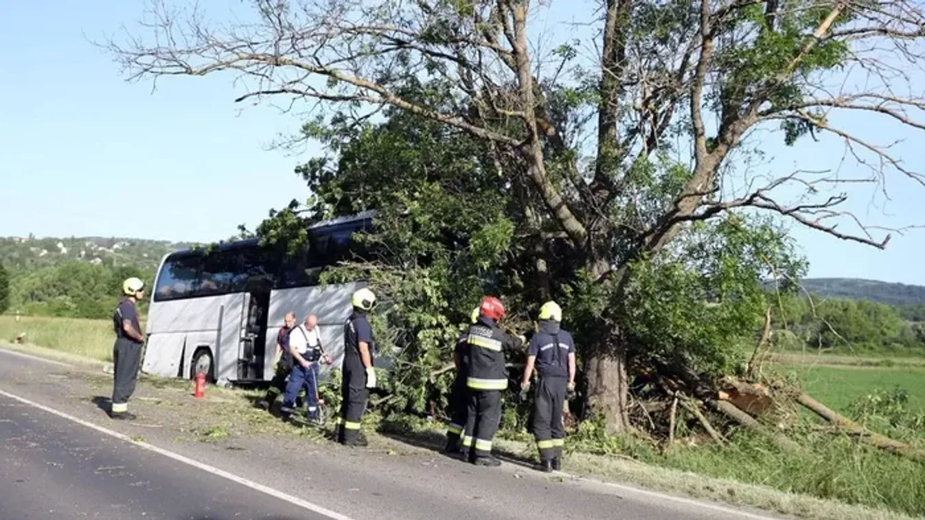 Halálos buszbaleset Pécsnél: így halhatott meg a sofőr - megrázó részletek