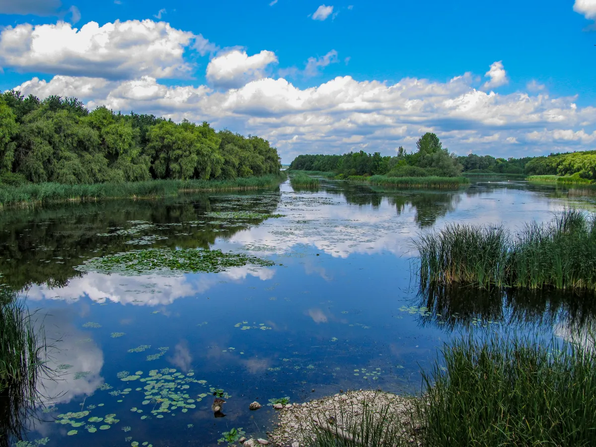 Mocsaras táj a Kis-Balaton környékén.
