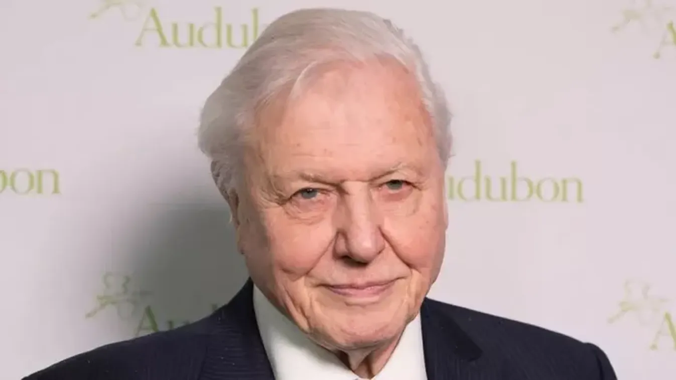 100 éve a Földön, 70 éve a Földért: David Attenborough-t ünnepli ma a világ
