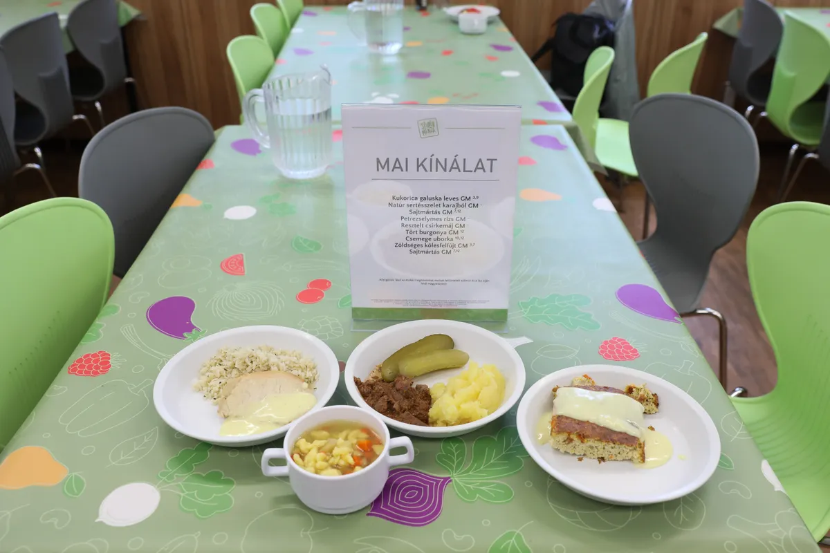 A lisztérzékeny és a gluténérzékeny gyerekek is jó ételt kapnak a tányérjukba