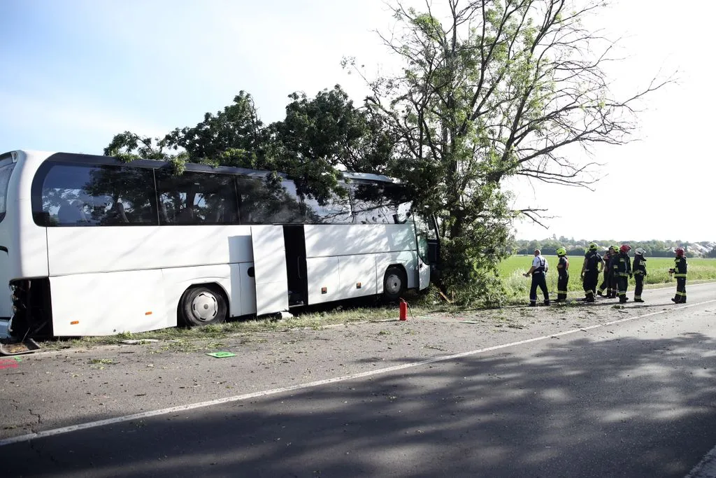 buszbaleset, halálos buszbaleset, Pécs, sportoló, gyerekek
