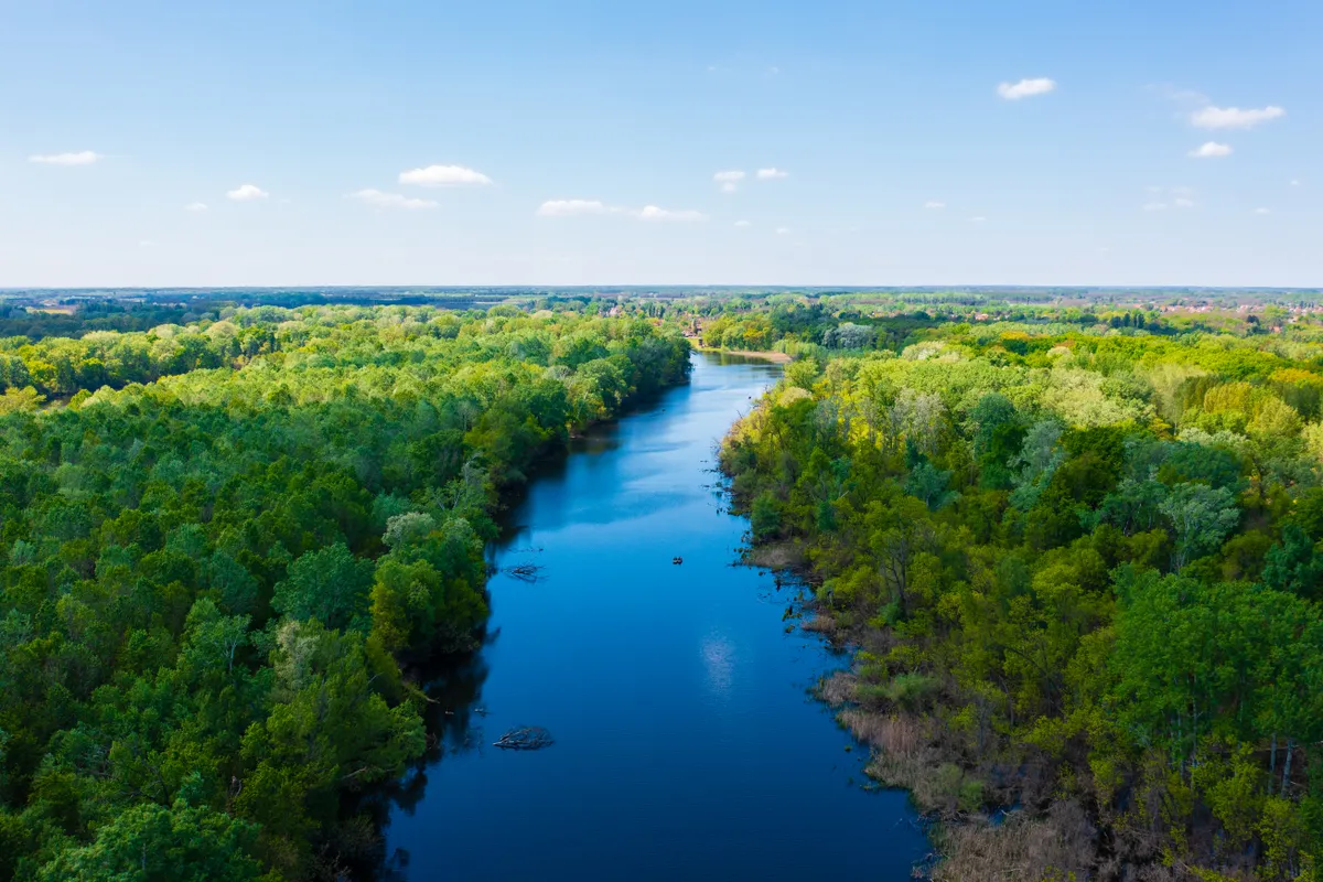 Algyő és környéke a Tisza mentén