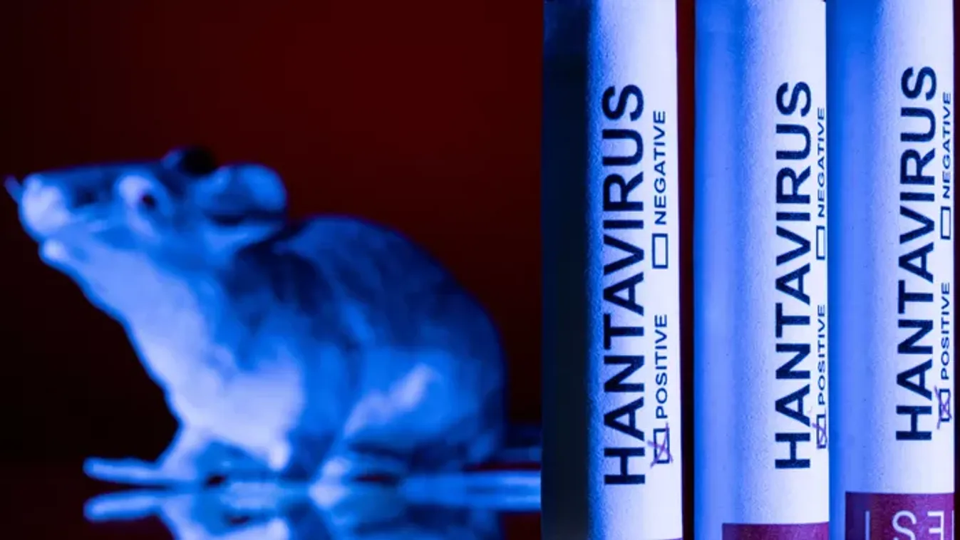 Rejtélyes haláleset: újabb országban terjed a hantavírus
