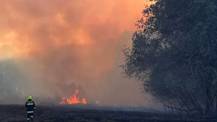 Péntektől tűzgyújtási tilalom lép életbe az egész országban