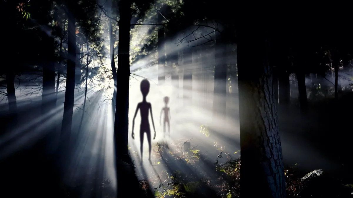 UFO-észlelés az erdőben.