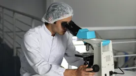 Valóra válik a Jurassic Park? Rég kihalt állatfajt támasztanának fel a tudósok