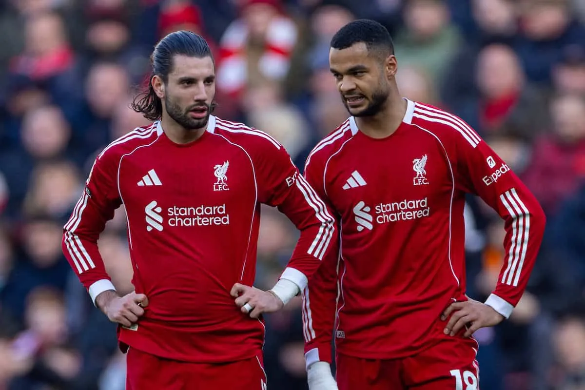 Szoboszlai Dominik és Cody Gakpo a Liverpool két játékosa