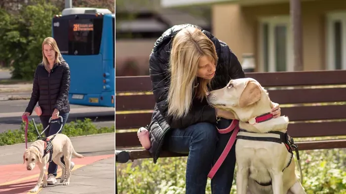Vakvezető kutyát támadott meg egy utas az egyik buszon