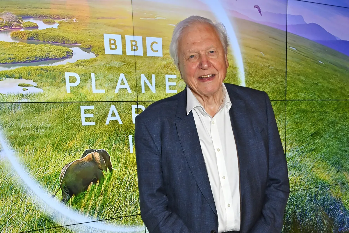 Sir David Attenborough 100 éves lett.