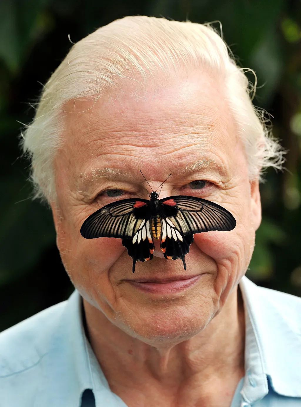 David Attenborough 100 éves