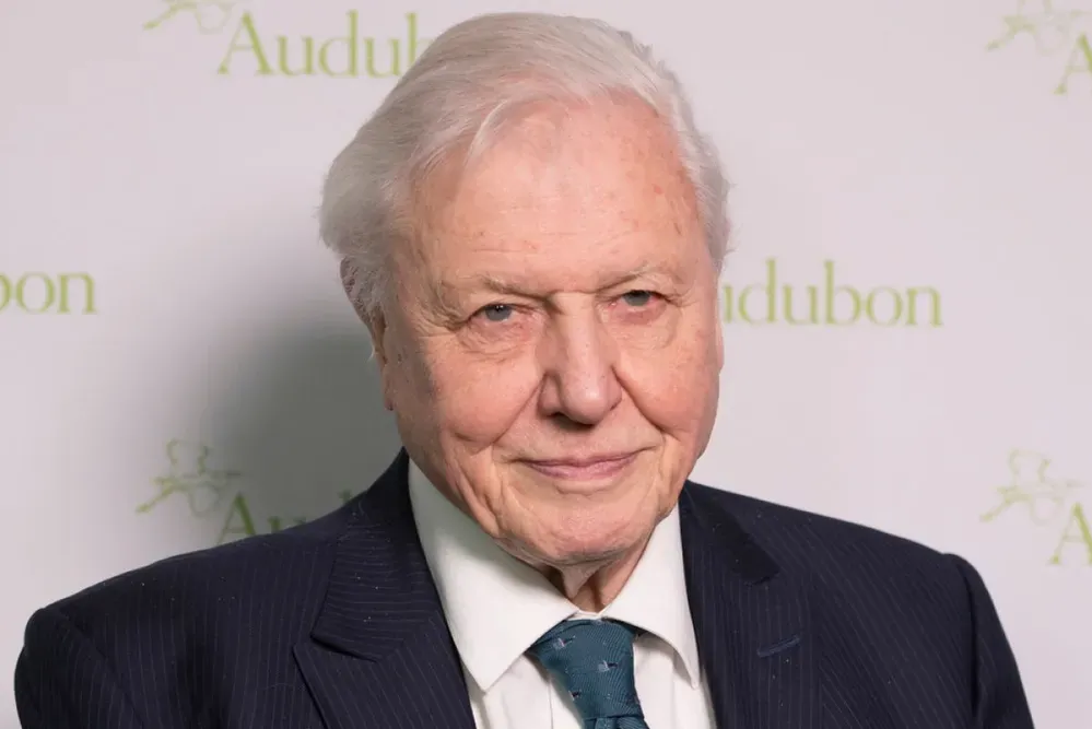 David Attenborough nemsokára 100 éves lesz, és még mindig nem győzi hangsúlyozni, hogy mennyire fontos a Földünk védelme