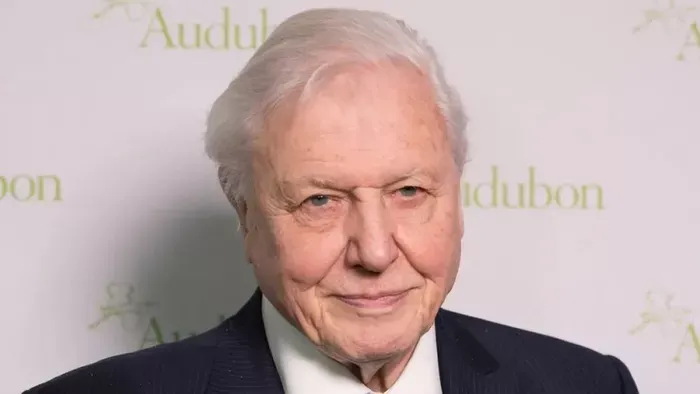 A 100 éves David Attenborough-t ünnepli ma a világ