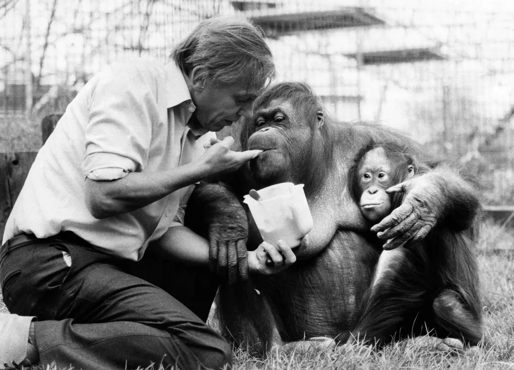 David Attenborough 100 éves