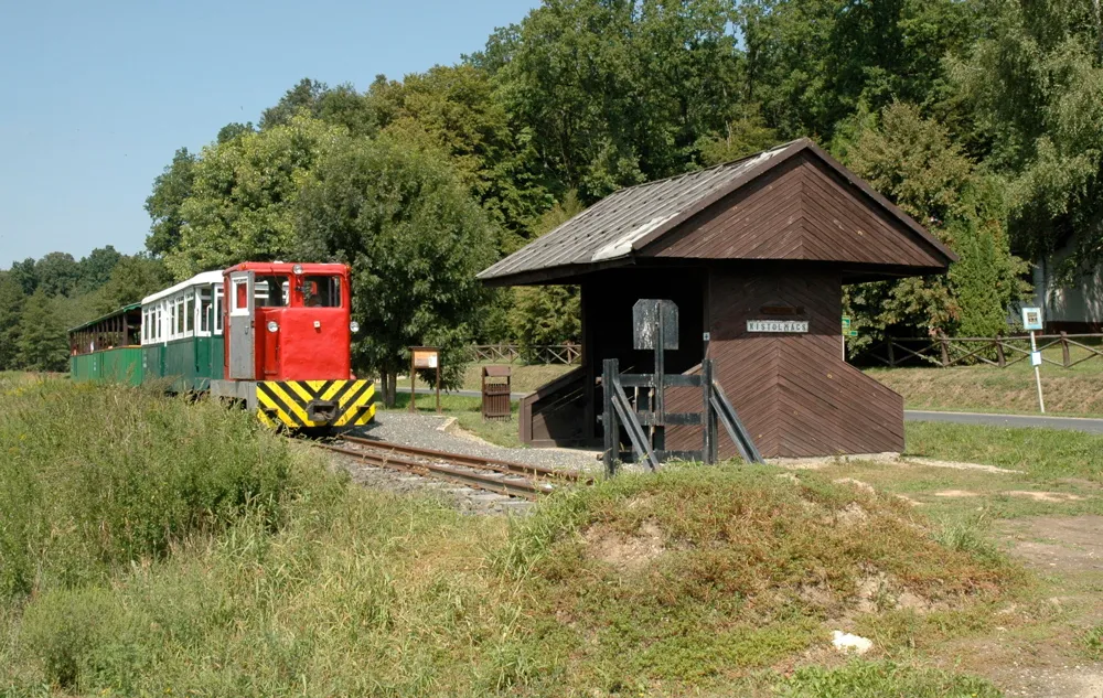 A Csömödéri Állami Erdei Vasút erdős táj előtt. 