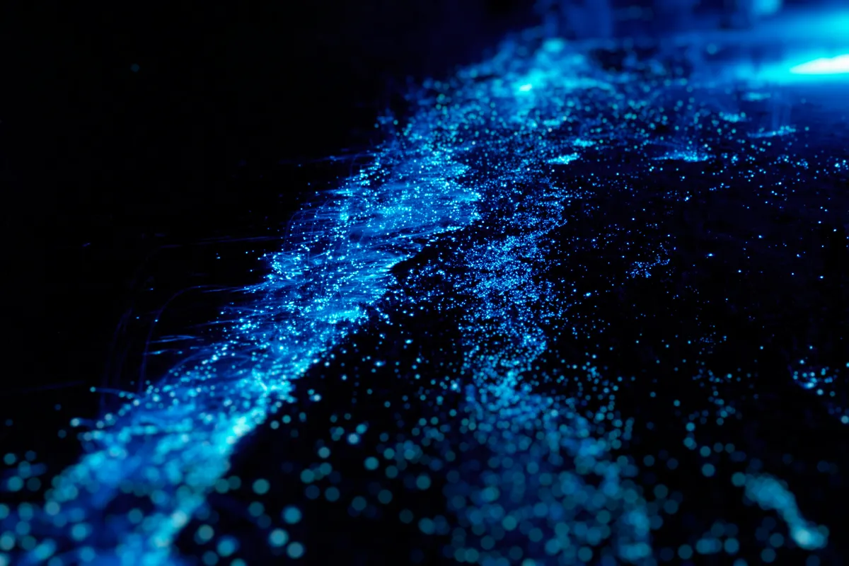 Egy a világ legszebb természeti csodái közül: a Maldív-szigetek biolumineszcens algái.