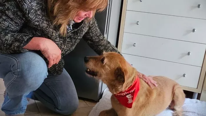 A láncok közül a pesti luxusig menekült Piroska