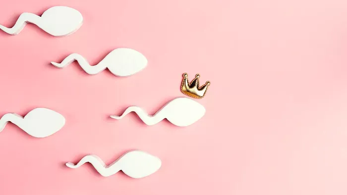Sperma VB: A leggyorsabb sperma 30 millió forintot ér