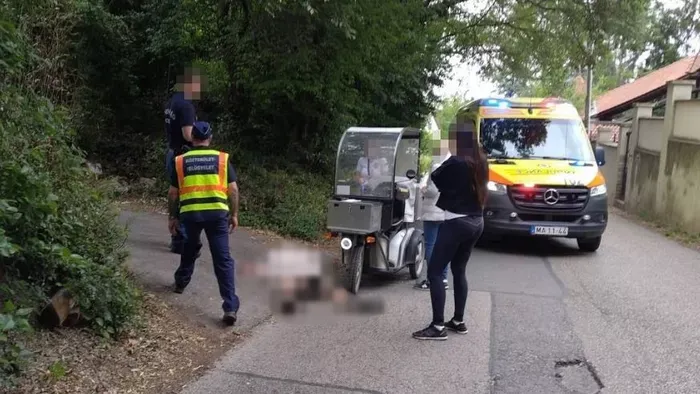 Postást marcangolt szét egy bedühödött kutya Óbudán