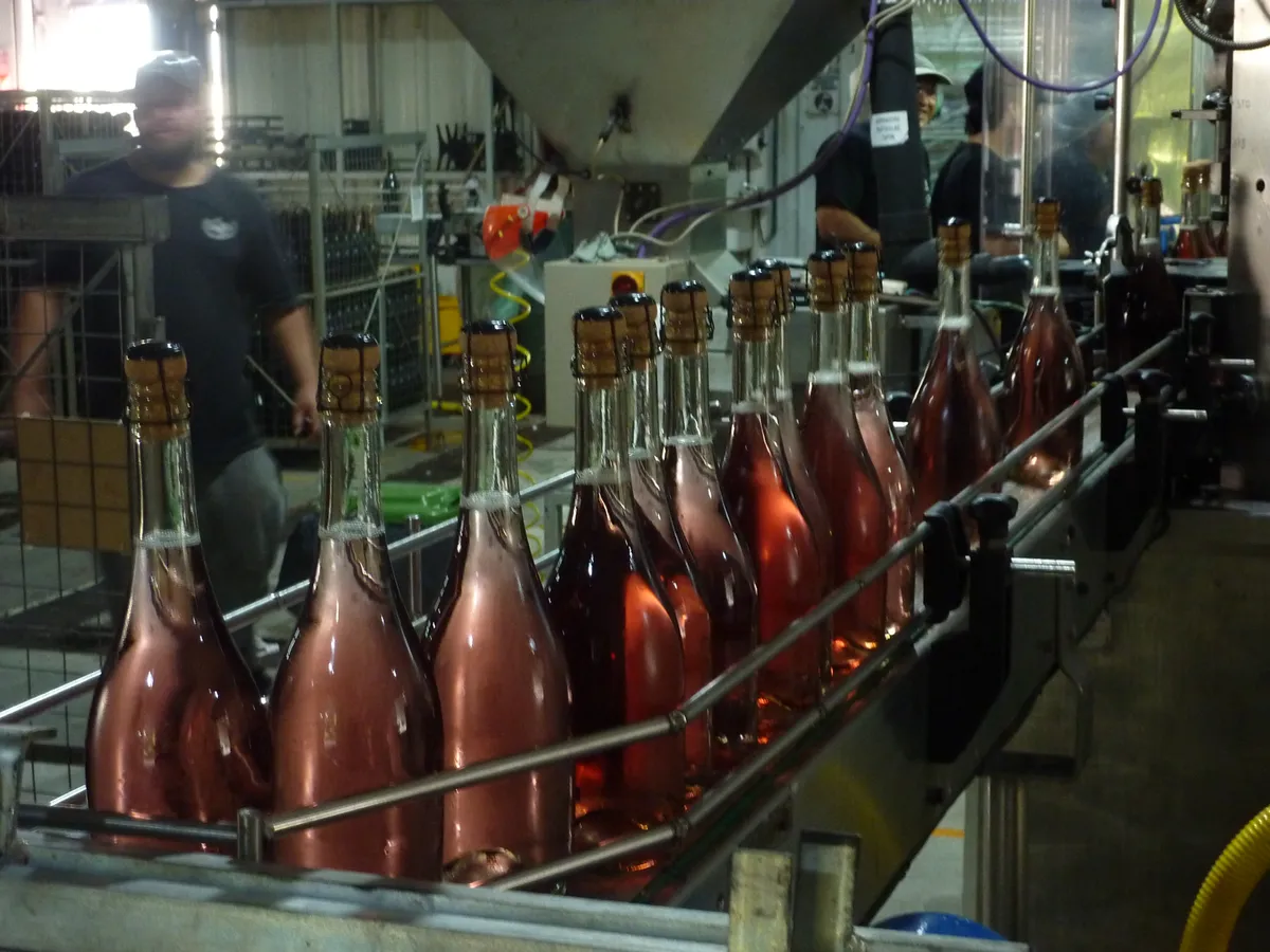 Malbec szőlőből készült vörösborok az argentínai Mendozában.